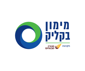 לוגו בנק/חברת מימון 4